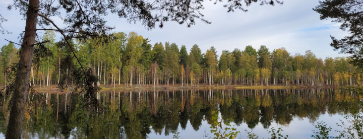 Wendy schrijft over Zweden